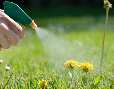 Weed Killer - Henson Metal