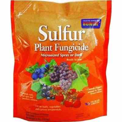 Fungicide - Sulfer Dust 4Lb  - Henson Metal