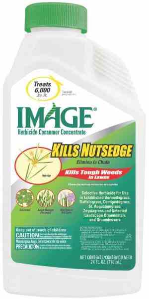 Main 1 - Image - Weed Killer 24 Oz  -