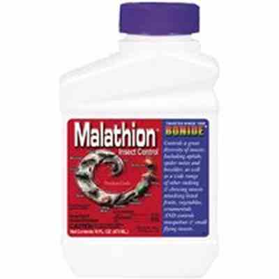 Malathion - Insect Spray 1Pint  - Henson Metal