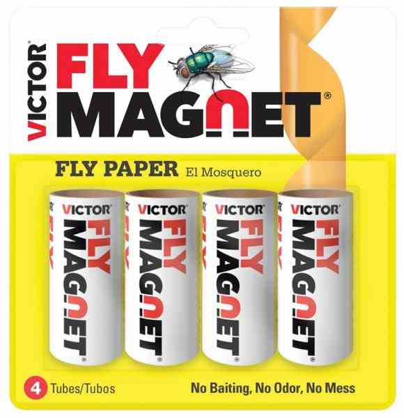 Main 1 - Fly Catcher Ribbon  -