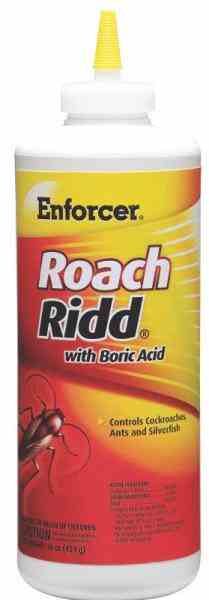 Main 1 - Roach Ridd 16Oz.  -